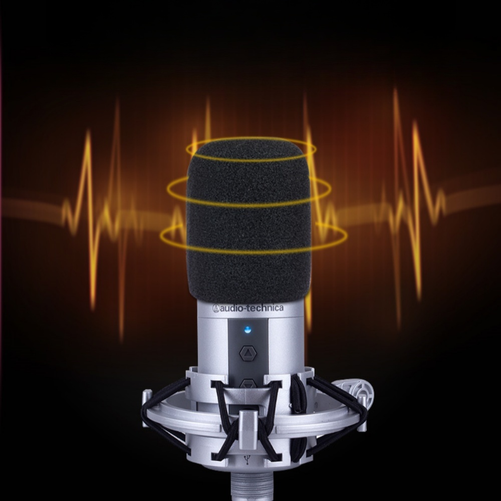 2PCS AT2020 ไมโครโฟนกระจก,ไมโค - Microphone Capsule บทวิจารณ์และราคา